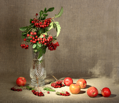 ashberry-apples2