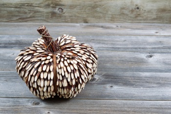 pumpkin-sticks-creative2