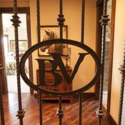 11836849 990938344292144 5616729091539573101 n