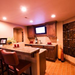 parade-2010-wet-bar